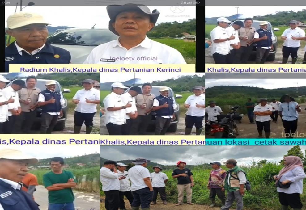 Sinergi Ketahanan Pangan: DTPH dan Dandim 0417 Kerinci Tinjau Lokasi Cetak Sawah serta Persiapan Panen Raya