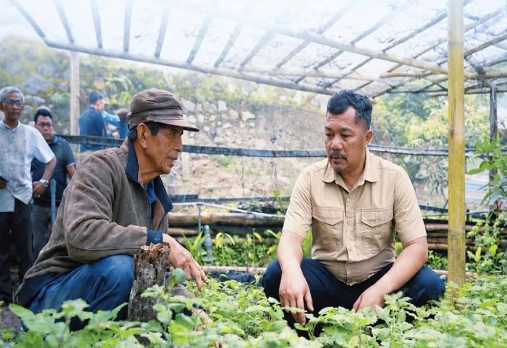 Strategi Pengembangan Nilam Kerinci untuk Keberlanjutan Ekonomi Petani Lokal