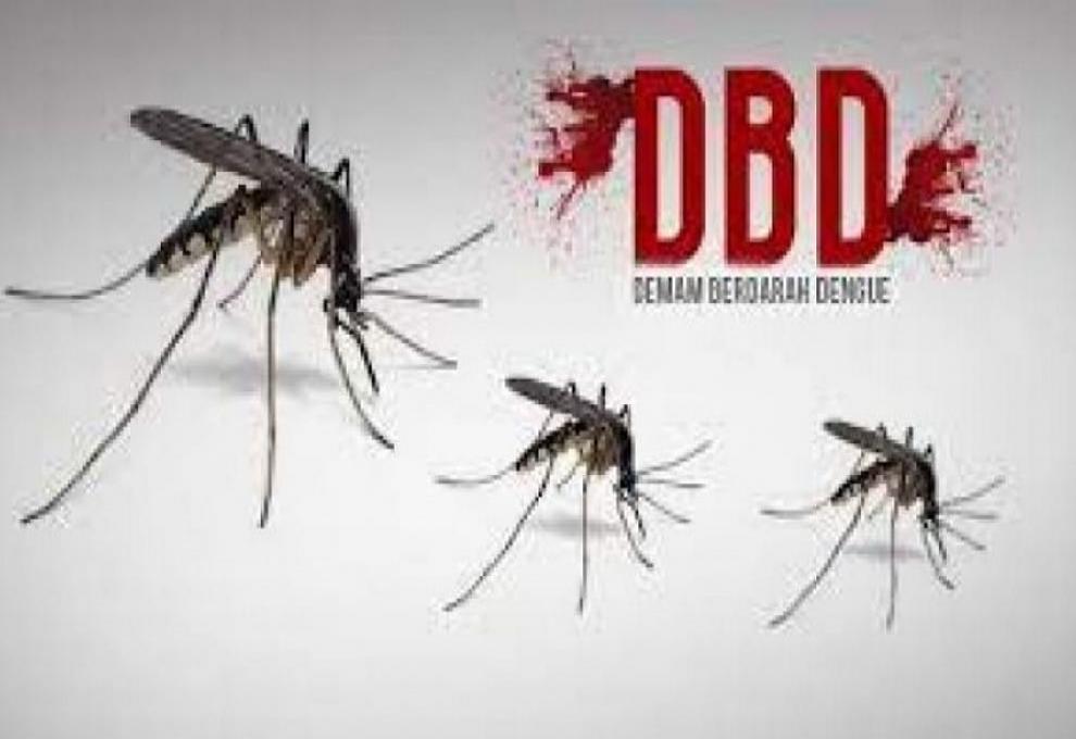 Antisipasi Lonjakan DBD, Warga Koto Petai Didesak Terapkan Gerakan 3M Plus