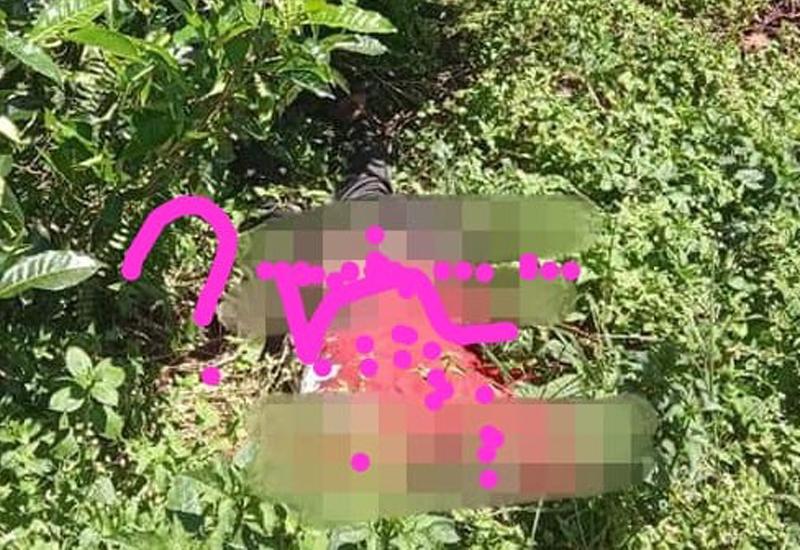 Heboh..!! Ditemukan Mayat Lelaki Paruh Baya dekat Kebun Teh
