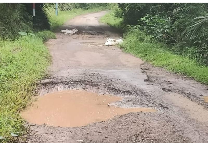 Kondisi Jalan Saat Ini