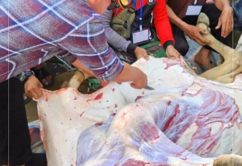 Wako Ahmadi Qurban Bersama Masyarakat 4 Desa Sungai Liuk