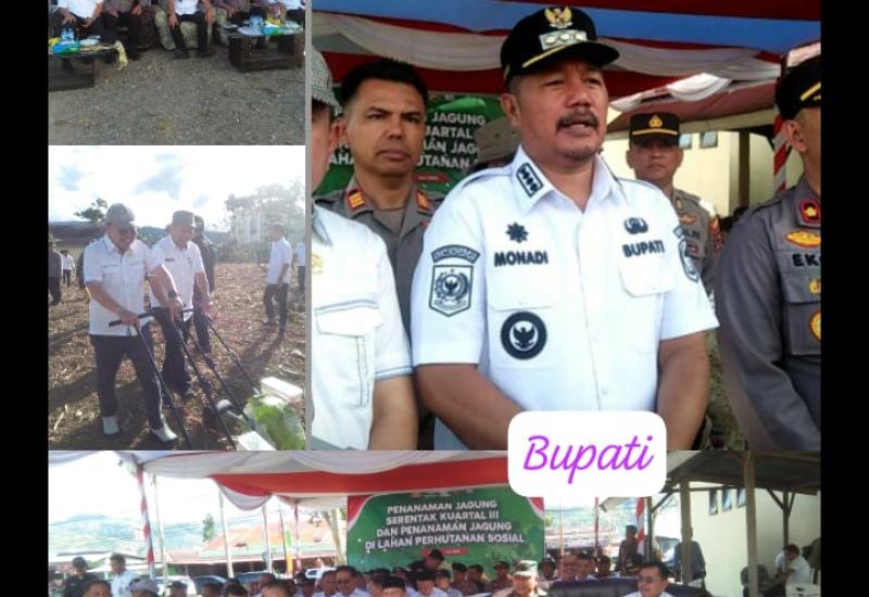 Dukungan Ketahanan Pangan Nasional, Bupati Kerinci Monadi Tanam Jagung Serentak Di Polsek Air Hangat  Dukungan Ketahanan Pangan Nasional, Bupati Kerinci Monadi Tanam Jagung Serentak Di Polsek Air Hangat