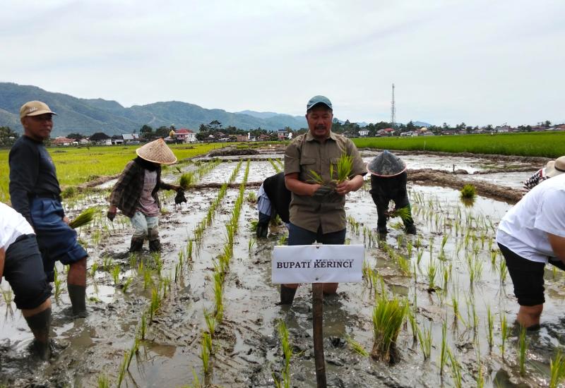 Bupati Kerinci Berikan Bantuan mesin Hidrotiller Kura-kura dan Benih Sekaligus Penanaman Padi Serentak  Bupati Kerinci Berikan Bantuan mesin Hidrotiller Kura-kura dan Benih Sekaligus Penanaman Padi Serentak