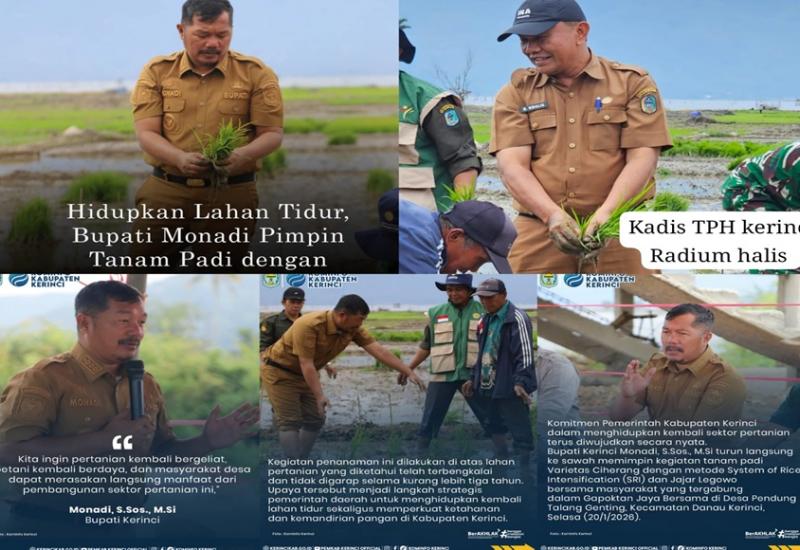 Bupati Monadi Didampingi Kadis DTPH Kerinci, Pimpin Tegiatan Tanam Padi Dilahan Tidur