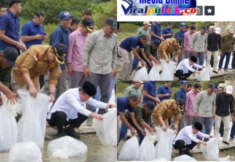 PLTA Danau Kerinci Bersama Bupati Monadi Dan Gubernur Al Haris Tabur 10 Ribu Benih Ikan