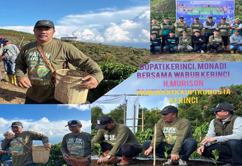 Kopi Robusta Kerinci Tembus Pasar Mesir dan Dunia, Sukses Pikat Pasar Domestik Lewat Digital