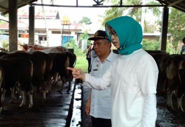 Disnakeswan Provinsi Bengkulu saat meninjau lokasi peternakan hewan Kota Bengkulu, Rabu (30/08/2017)