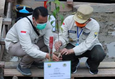 FACHRORI : AJAK MASYARAKAT LESTARIKAN HUTAN MANGROVE