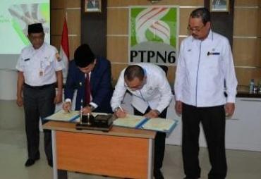 Bersama PTPN6, Gubernur Jambi Al Haris Teken MOU 