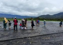 lokasi lahan yang tertimbun abu Vulkanik dari puncak Gunung Kerinci di Desa Sungai Rumpun Kecamatan Gunung Tujuh Kabupaten Kerinci Jambi