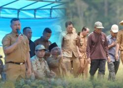 Bupati Kerinci Monadi Hadiri Panen Raya Padi di Desa Talang Kemulun Bupati Kerinci Monadi Hadiri Panen Raya Padi di Desa Talang Kemulun