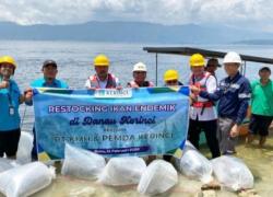 Dorong Kesejahteraan Nelayan, Bupati Monadi Bersama PT. KMH Tebarkan Ikan Endemik Di Danau Kerinci