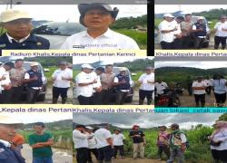 Sinergi Ketahanan Pangan: DTPH dan Dandim 0417 Kerinci Tinjau Lokasi Cetak Sawah serta Persiapan Panen Raya