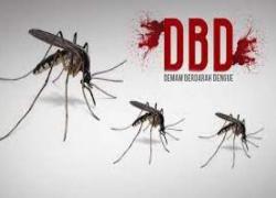 Antisipasi Lonjakan DBD, Warga Koto Petai Didesak Terapkan Gerakan 3M Plus